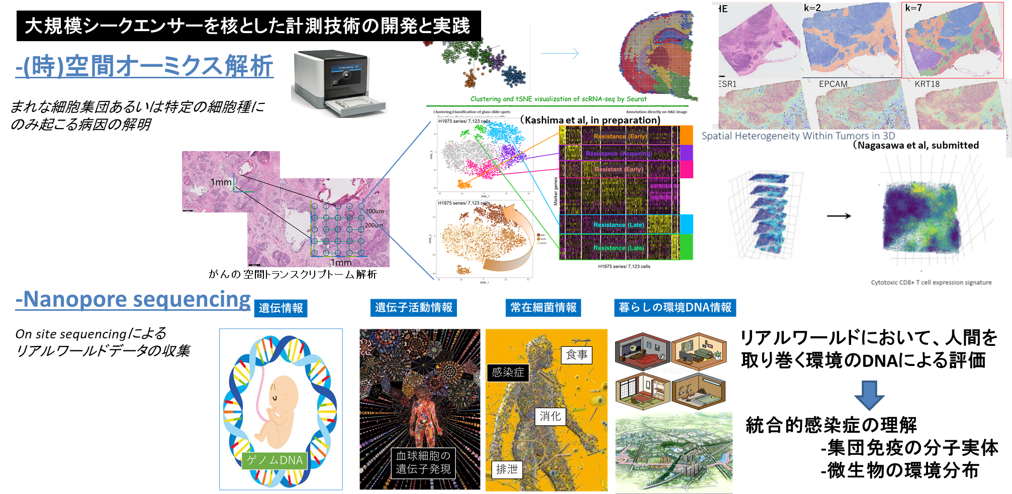 鈴木 穣 研究内容