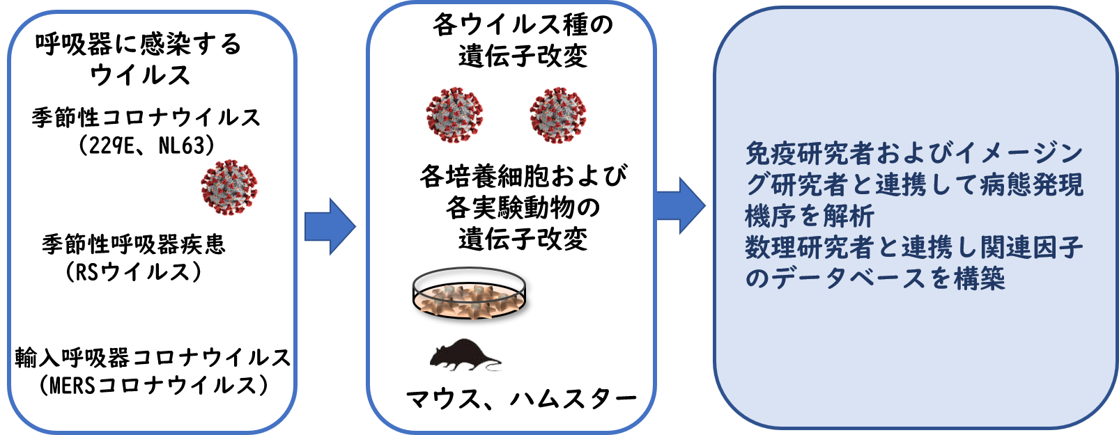 神谷 亘 研究内容